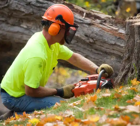 tree services Funkstown